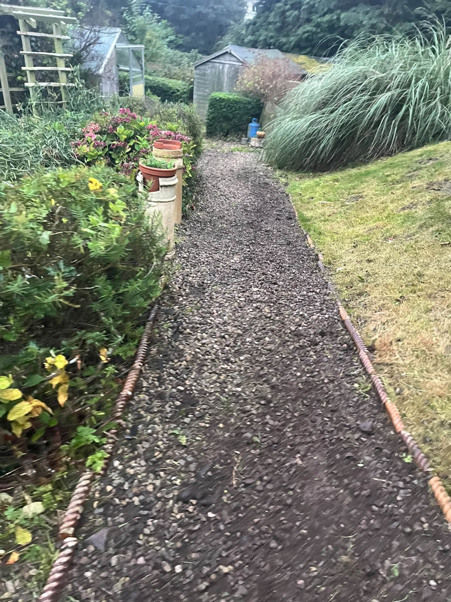Hedge cutting
